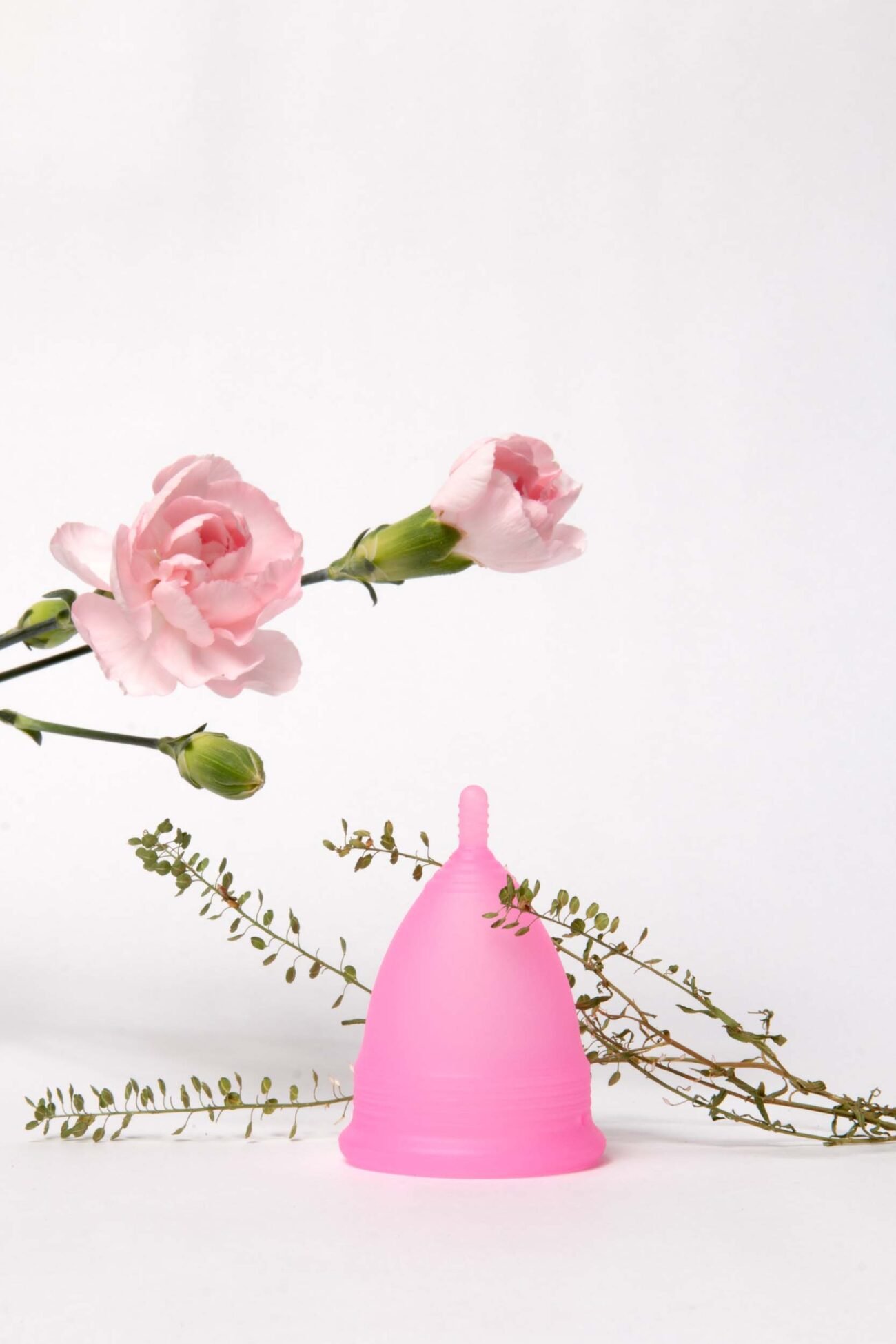 COPA MENSTRUAL - Image 2