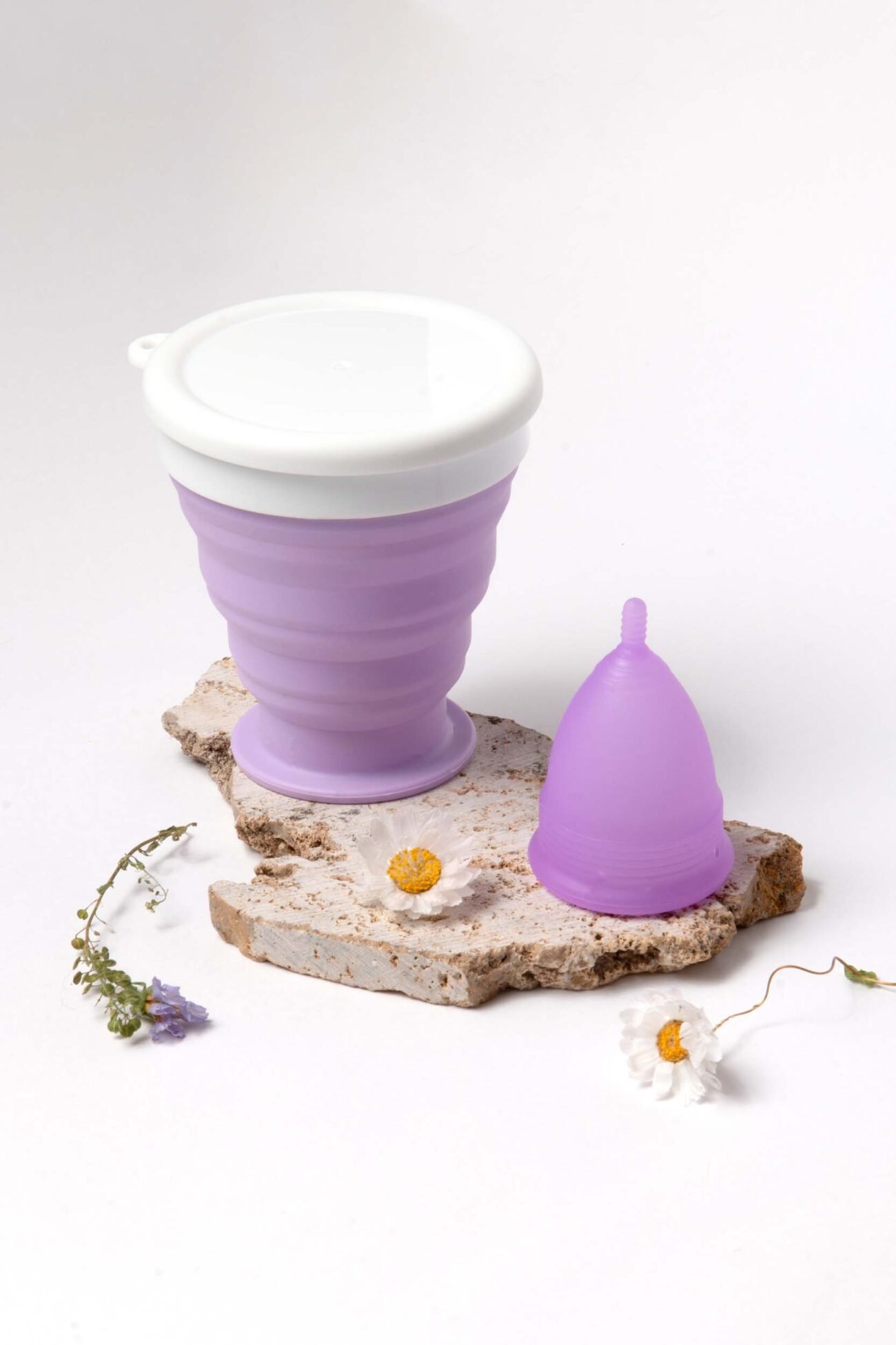 KIT 3 - Image 5
