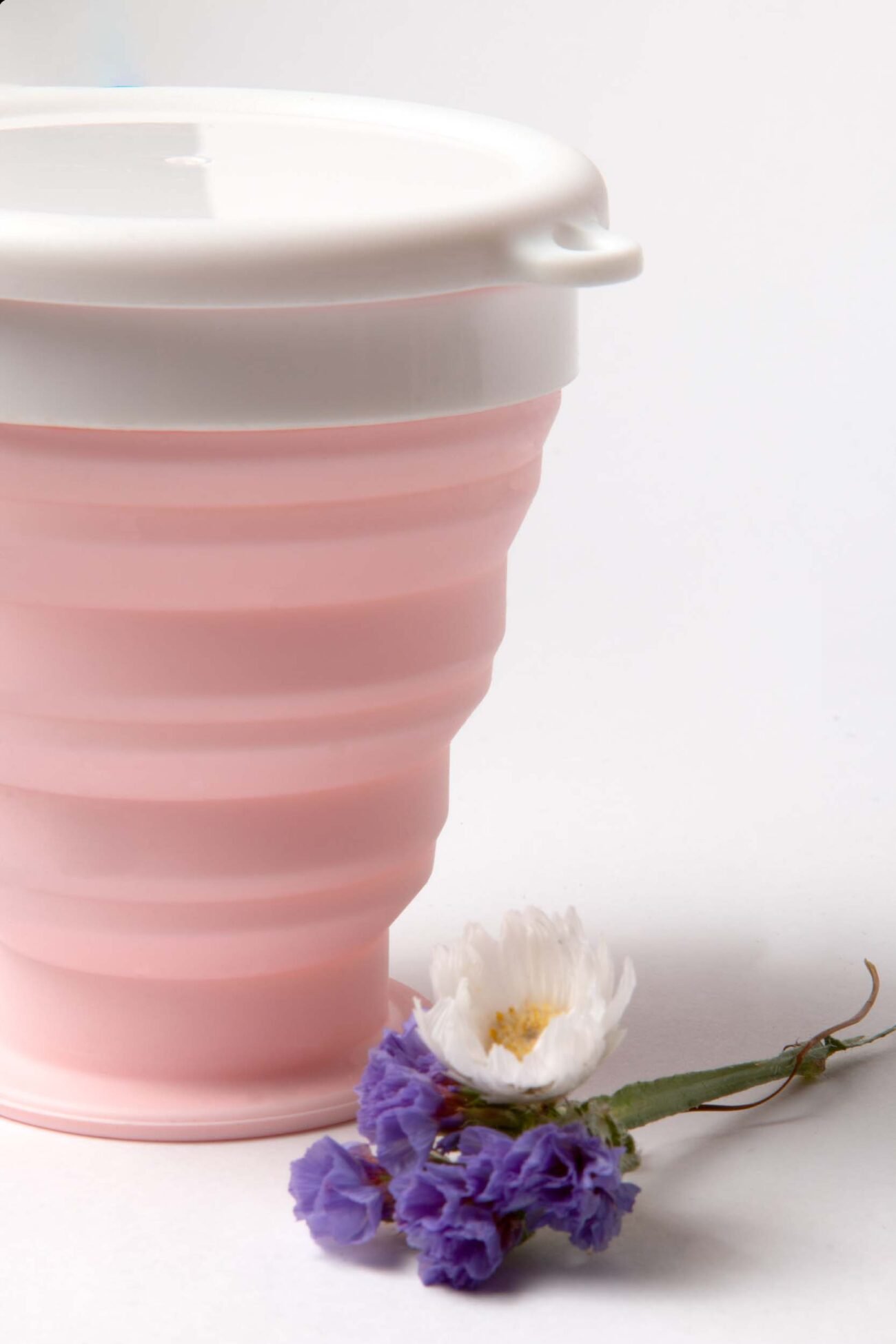 VASO ESTERILIZADOR - Image 2